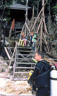 Start of the hike across Kakaban to get to the jellyfish lake