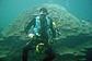 Yellow thing and Worm rock