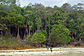 Kakaban Island at high tide