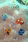 Christmastree worms on Worm rock